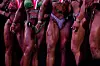 20241116-news-cb-bodybuilding-11.JPG