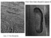 Side by side of shoe print and print found at Salt Fire