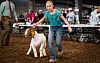 20240908-news-JB-livestock-06.jpg