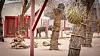 elephants-01.jpg