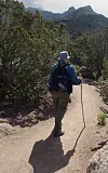 HIKER FOREST CUTS