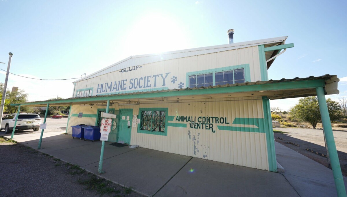 Gallup to take over animal shelter; ends contract with McKinley County ...
