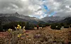 clouds over the Sandia Mountians