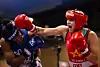 20240316-spt-cb-USABoxing-01.JPG