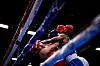 20240316-spt-cb-USABoxing-02.JPG