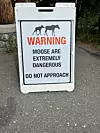 20240705-news-abq2alaska-beware moose sign.jpg