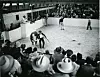 Showing a Hereford at the New Mexico State Fair
