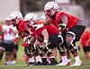 UNM builds depth, talent and chemistry in the offensive line