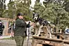 20250427-go-sleddogs