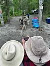 Sled dog ride thumbnail_IMG_7918.jpg