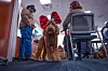 20231209-news-theraphydogs-06.jpg