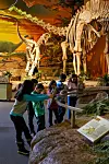 The New Mexico Museum of Natural History and Science will launch its summer camp in July. (Courtesy of the New Mexico Museum of Natural History & Science)