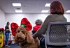 20231209-news-theraphydogs-12.jpg