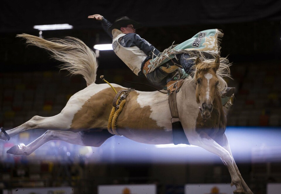 Burch Rodeo Burque Broncos | | abqjournal.com