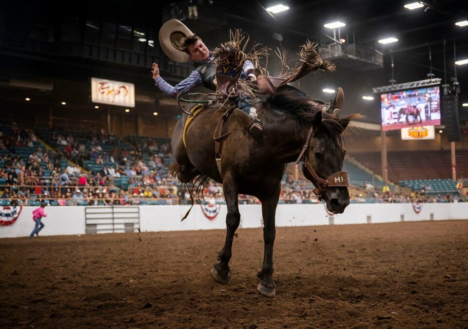 Family Affair: NM State Fair returns to Expo New Mexico | Lifestyle ...