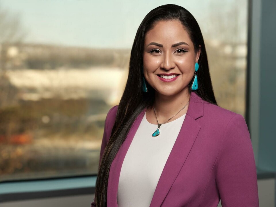 Court records show City Council candidate arrested in 2015 | Election ...