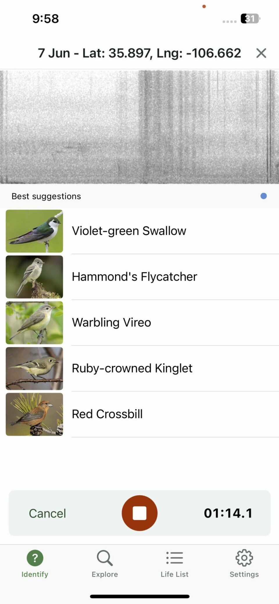 ESSENTIAL OVERLAND APP: With Merlin Bird ID you can hear, identify ...