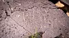 Petroglyphs-06.jpg