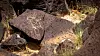 Petroglyphs-12.jpg