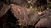 Petroglyphs-17.jpg