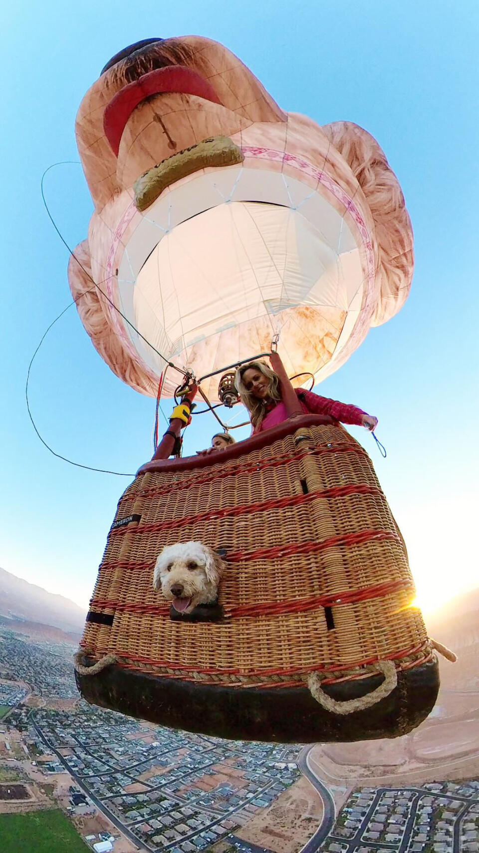 Dog is her co-pilot: This year's new special shapes include a Dog is her co-pilot: This year's new special shapes include a