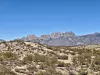 Organ Mountains near Las Cruces 042425