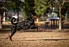 20240522-news-cb-dogpark-03.jpg