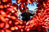 Spring is in the air: 13 things to do this spring in Albuquerque ...