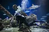 20250218-news-cb-aquarium-02.jpg
