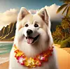 Hawaii Aloha Breeze Hound.png