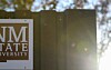 NMSU launches online AI course for New Mexico small businesses