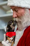 20241222-news-santavisitsshelter-02.JPG