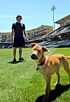 Sick's Pack: Six Isotopes characters to remember (and why) | Sports ...