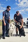 Firefighters with their service dogs outside Vista del Norte's dog park