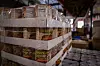 20241122-news-storehouse-006