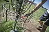 The Fore-1-1: For Albuquerque disc golfers, it’s a whole other game