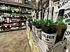 20250219-news-liquortax-1