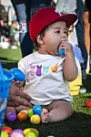20250420-news-jb-egghunt-15.jpg