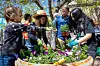 'Helping the Earth': fourth graders plant flowers alongside Transit employees on Earth Day
