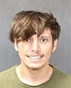 Man arrested for allegedly killing Uber driver to 'let off some steam ...
