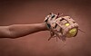 Which Albuquerque-area teams will challenge for a softball title this ...
