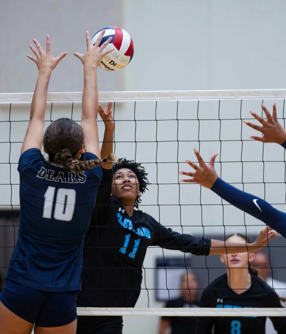 New Mexico High School Volleyball Teams Ranked Oct 21 Sports new-mexico-high-school-volleyball-teams-ranked-oct-21-sports