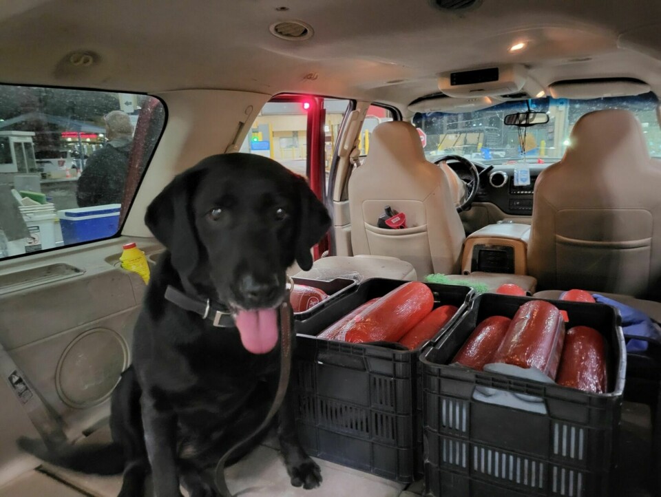 Albuquerque man caught smuggling meat across the border − again | News ...