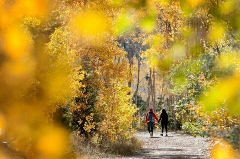 Fall Behind Place Why do leaves change color each fall? Here's the science behind the ...