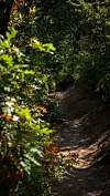 Pino Trail (68).jpg