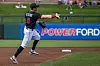 Isotopes vs Salt Lake Bees