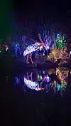 riveroflights-26.jpg
