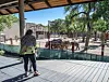 ABQ BioPark celebrate the completion of th first phase of Zoo's new Asia exhibit.