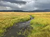 Valles Caldera Jemez River
