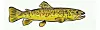 Fish_trout